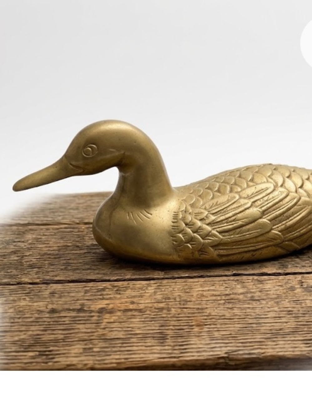 MCM Large Solid Brass Duck - Picture 4 of 7